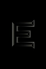 A black and white photograph of the uppercase letter E
