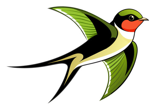 recommend clip art: Barn Swallow different style vector illustration line art 