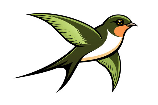 green swallow bird flying on white clip art preview