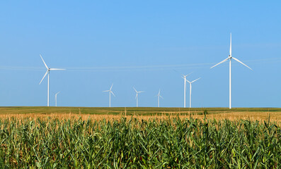 Electricity generating station. Alternative Energy Windmill Farm. Wind turbines standing tall in a field of corn under a clear blue sky, showcasing renewable energy and sustainable agriculture.