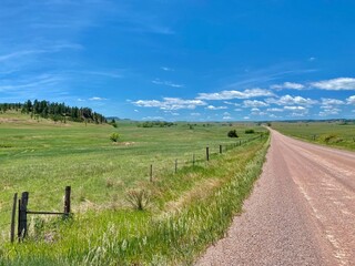 Black Hills Country Road