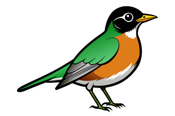 American Robin different style vector illustration line art