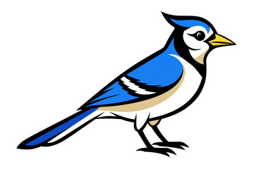 Blue Jay different style vector illustration line art