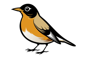 American Robin different style vector illustration line art