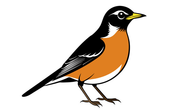 orange breasted bird standing, black and white clip art preview