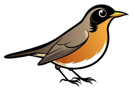 recommend clip art: American Robin different style vector illustration line art