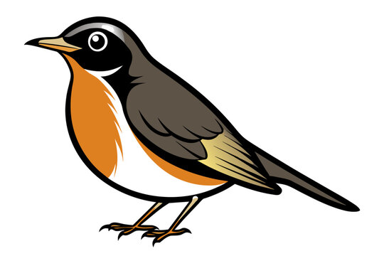robin bird cartoon orange breast black outline clip art preview