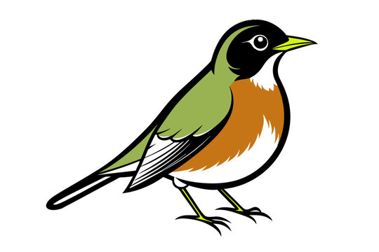 recommend clip art: American Robin different style vector illustration line art