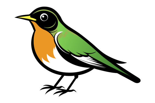 recommend clip art: American Robin different style vector illustration line art