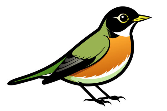 recommend clip art: American Robin different style vector illustration line art