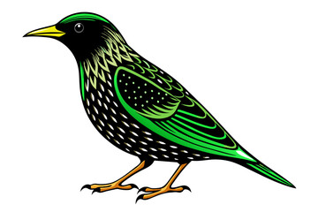 European Starling different style vector illustration line art