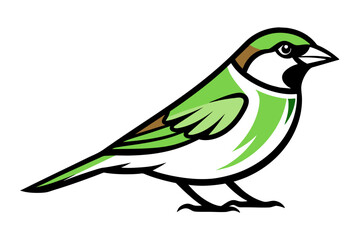 House Sparrow different style vector illustration line art