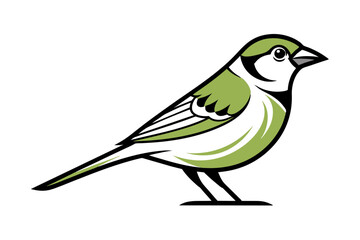 House Sparrow different style vector illustration line art
