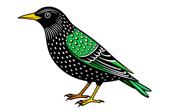 recommend clip art: European Starling different style vector illustration line art