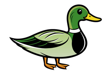 Obraz premium Mallard Duck different style vector illustration line art 