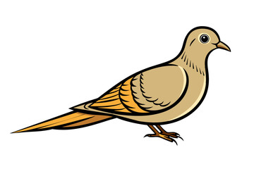 Mourning Dove different style vector illustration line art