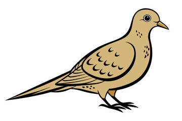 Mourning Dove different style vector illustration line art