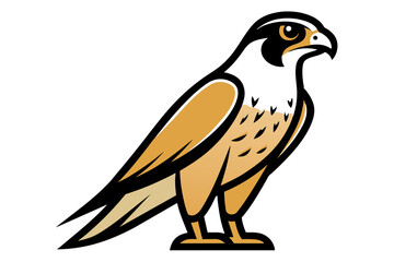 Red-tailed Hawk different style vector illustration line art