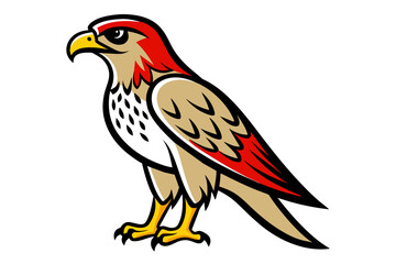 Red-tailed Hawk different style vector illustration line art