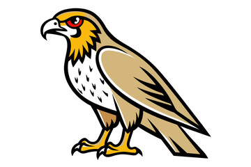 Red-tailed Hawk different style vector illustration line art