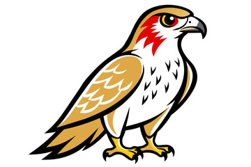 Red-tailed Hawk different style vector illustration line art
