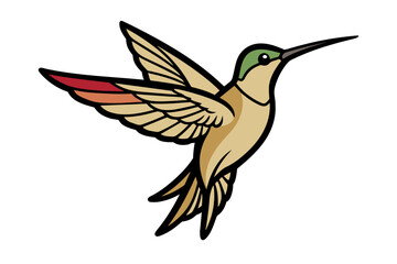 Ruby-throated Hummingbird different style vector illustration line art 