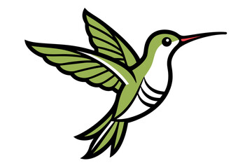 Ruby-throated Hummingbird different style vector illustration line art 