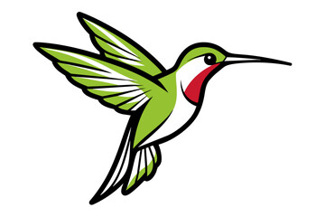 Ruby-throated Hummingbird different style vector illustration line art 