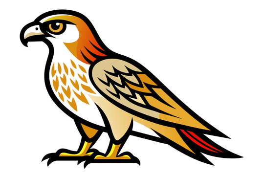 recommend clip art: Red-tailed Hawk different style vector illustration line art