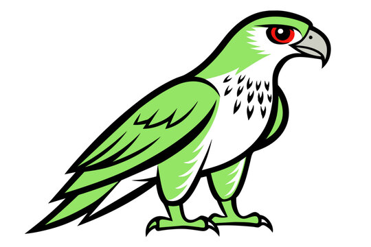 recommend clip art: Red-tailed Hawk different style vector illustration line art