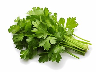 Parsley, isolate on white background, dicut PNG style