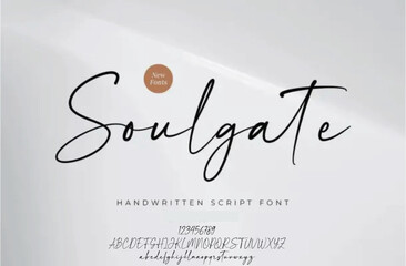 Signature Font Calligraphy Logotype Script Brush Font Type Font lettering handwritten