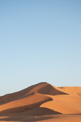 Sand dunes of the sahara