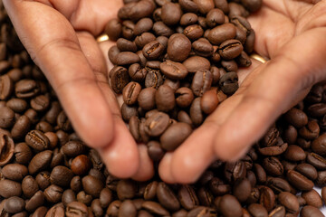 Coffee Bean Bliss