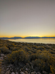 Obraz premium Sunrise Hiking Views of Antelope Island State Park Utah Bison 