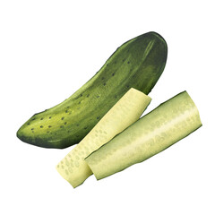 Cucumber with chopped sticks, cubes, batons. Hand drawn watercolor illustration. Gardening, growing green vegetables. Farming and agriculture. Organic food. For background, packaging, label, menu