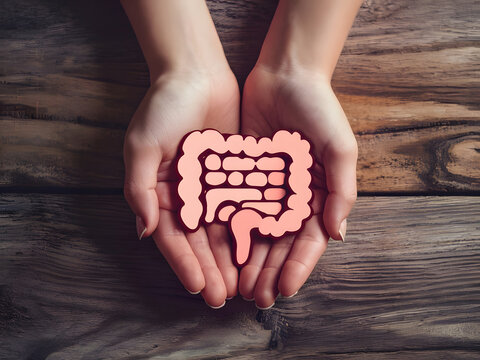 Manos de mujer sostienen figura de intestinos