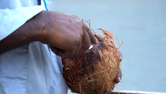 Peel off coconut fruit cover with DIY tool. Man breaking fresh raw organic coconut with knife, cut open in half coconut water splash heap of many coconuts 4K slow motion video. 
