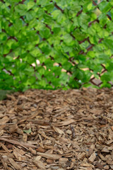 Wood Chips Ground with Green Leafy Background