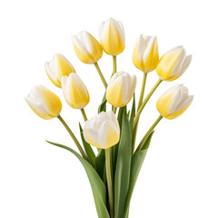 bouquet tulip flower for wedding, isolated on transparent background, cut out