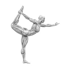 Obraz premium female swole muscle maps on grabbing leg yoga pose