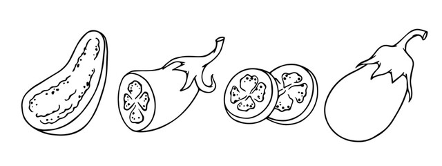 Set of linear sketches, contours of eggplant vegetables.Vector graphics.
