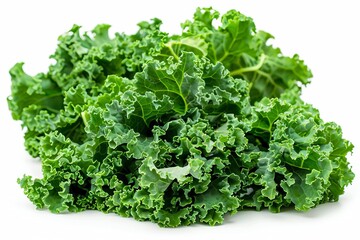 A fresh bunch of kale with dark green, curly leaves, arranged in a compact bundle Isolated on a solid white background
