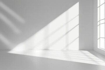 Minimalist interior studio background with subtle shadow details for a professional look.