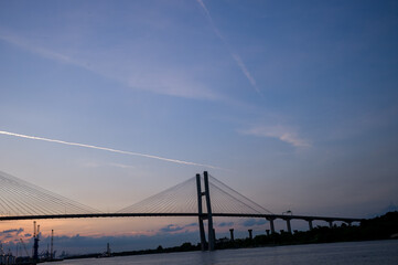 Savannah bridge