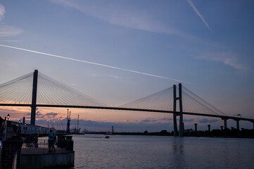 Savannah bridge