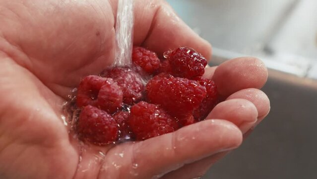 Washing raspberries in hand in a sink 