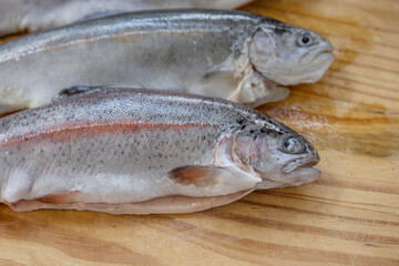 Carving three raw fresh trouts on the old wooden cutting board. Cooking whole freshwater rainbow forel fish. Oncorhynchus mykiss on the chopping plate. Wood background. Close up. Copy space. Top view