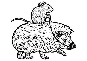 Mouse riding a hedgehog sketch engraving PNG illustration. T-shirt apparel print design. Scratch board imitation. Black and white hand drawn image.