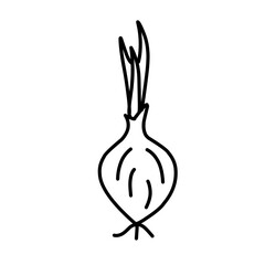 hand drawn vegetable doodles